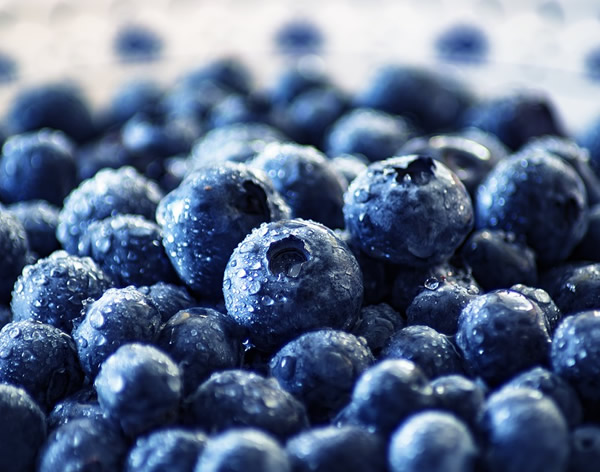 冷凍藍莓，一個被嚴重低估的產品
